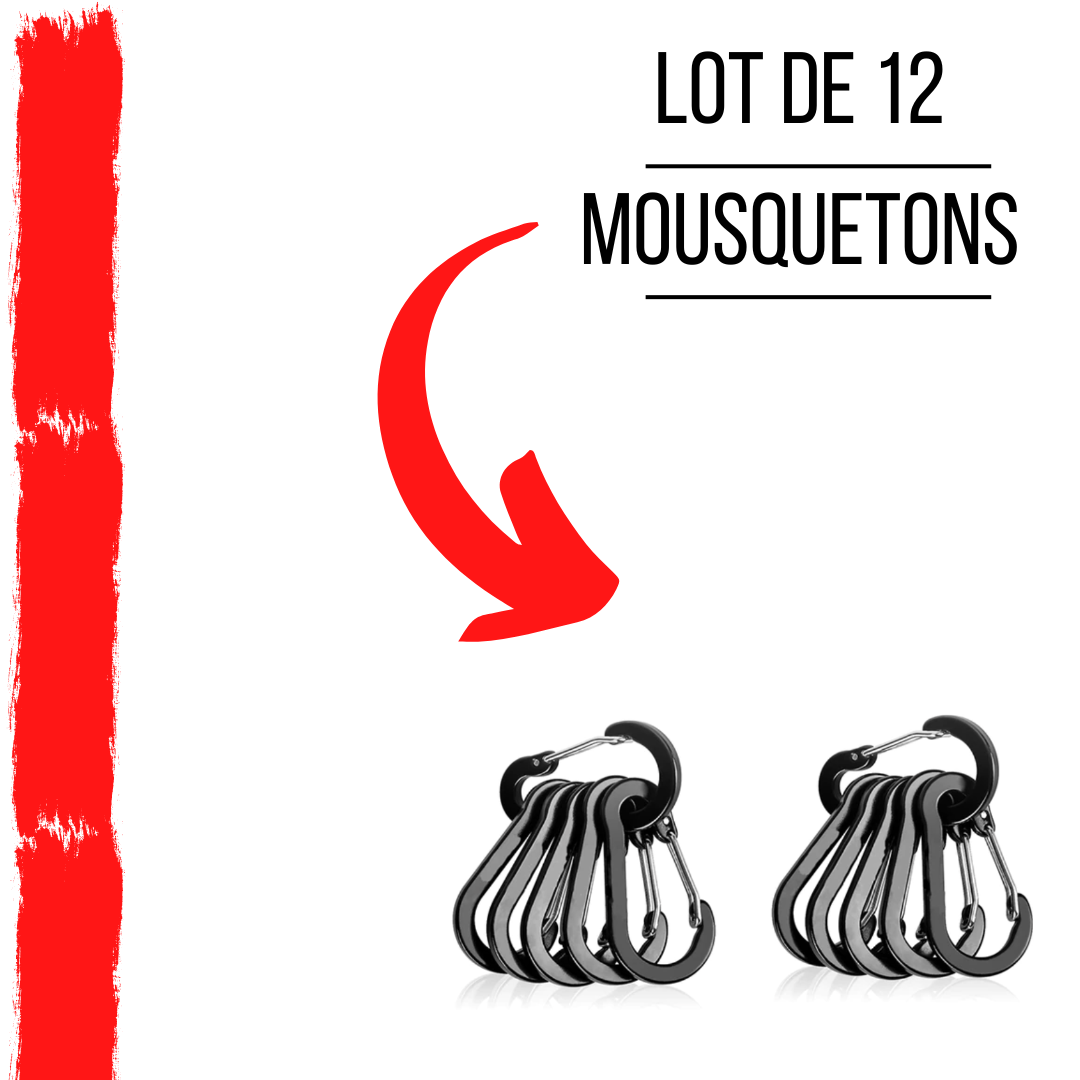 Mousqueton de sécurité